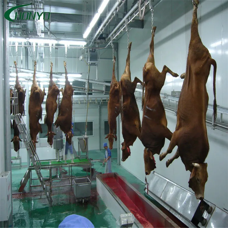 Slaughterhouse Automatic Cattle Slaughter Line Equipment Buy Cattle