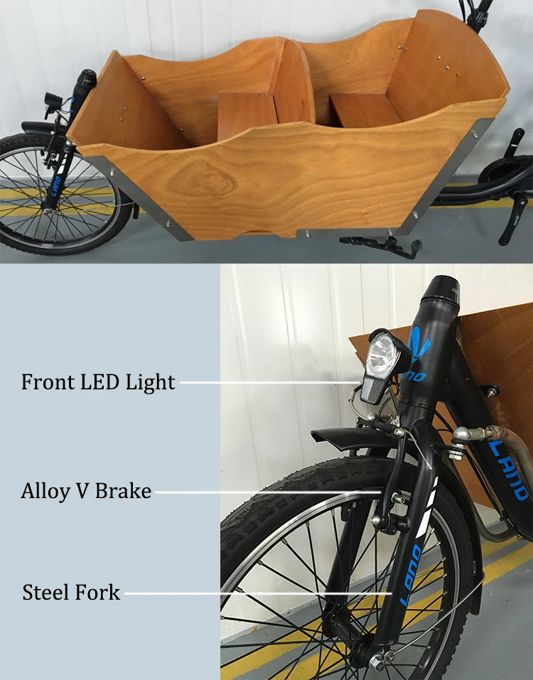 Electric Cargo Bike Family