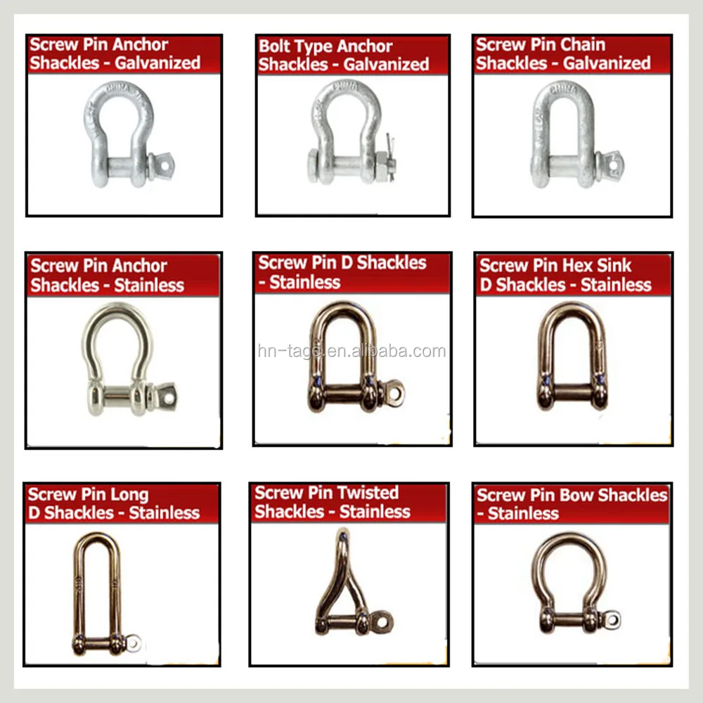 European Type Screp Pin Stainless Steel D Shackles - Buy European ...