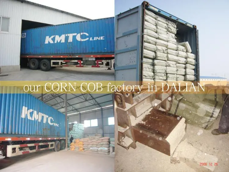 06CORN-COB--01.jpg