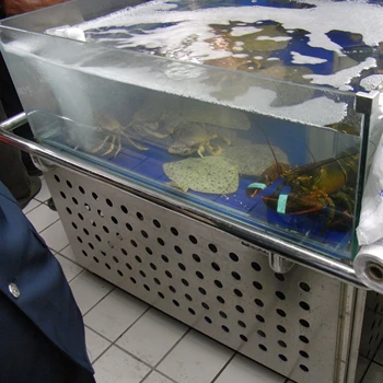 Dingfeng Customized Supermarket Or Restaurant Ss Chiller Live Lobster ...