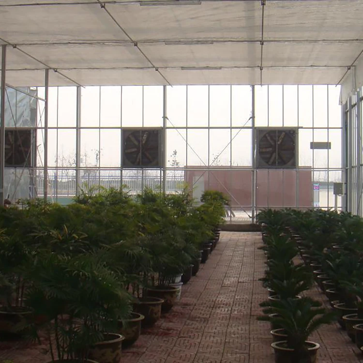 greenhouse plastic film agriculture