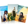 custom wholesale personalized best quality and safety colorful wall poster for decoration