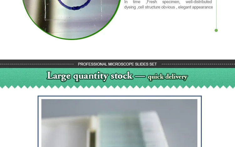 009 Microorganism cells prepared microscope slides.jpg