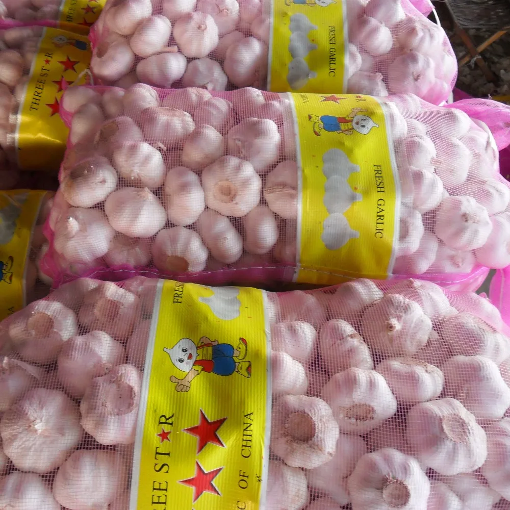 Wholesale Garlic Buyers And Fresh Normal White Garlic Indian Garlic