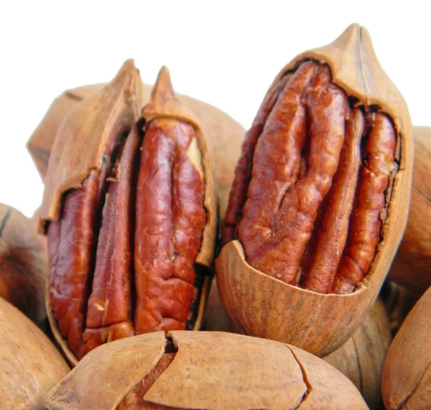 Pecan nuts Kernels