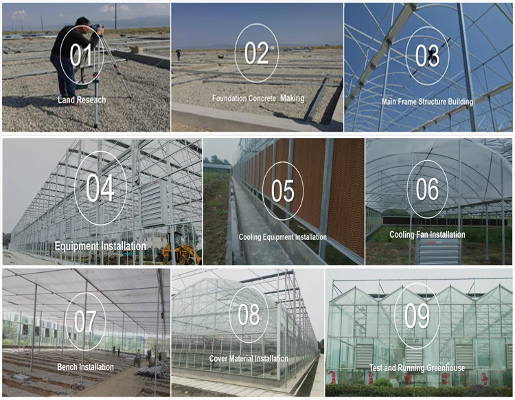 1000m2 Venlo Glass Greenhouse For Sale Buy Fiberglass Greenhouse