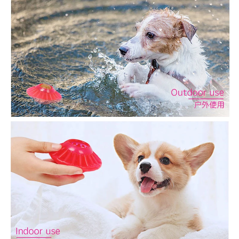 pet toy 10