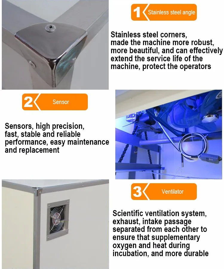 product show