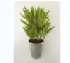 Artificial Cypress Tree Arrangement Greenery In Tin Pot Green