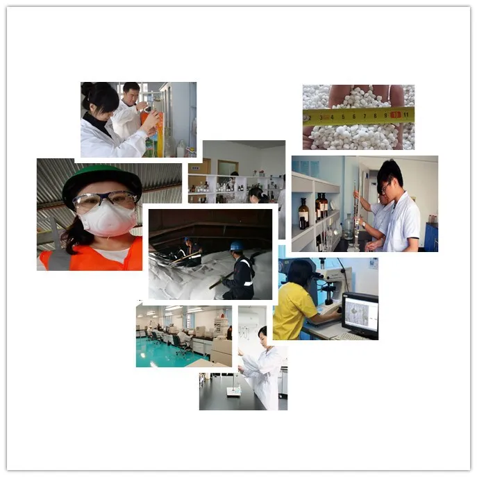 test report..jpg