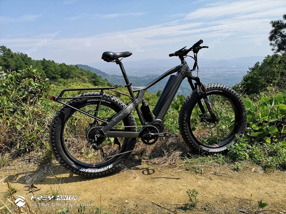 Frey Hunter 1000w Fat Electric Bike Hunting Bike With Bafang Ultra Mid Motor System - Buy Fat 
