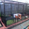Welded wire unique rabbit cages(factory)3 or 4 layers