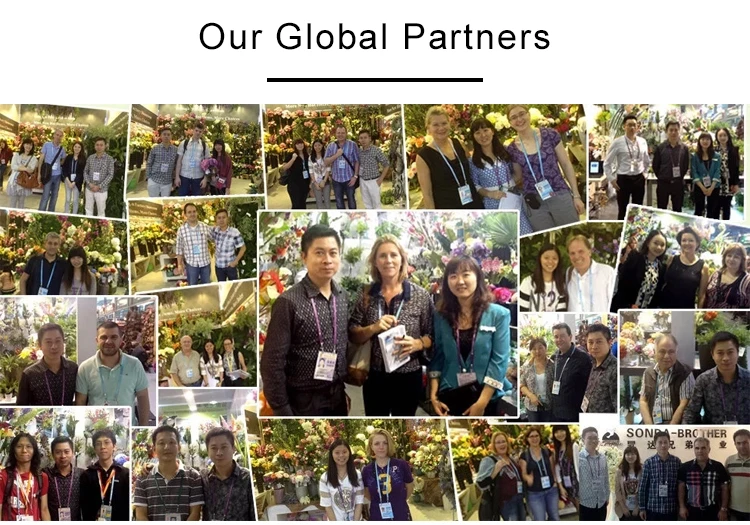 Decorative Wisteria Flowers Rose Garland Hanging Vines Silk Rose Flower