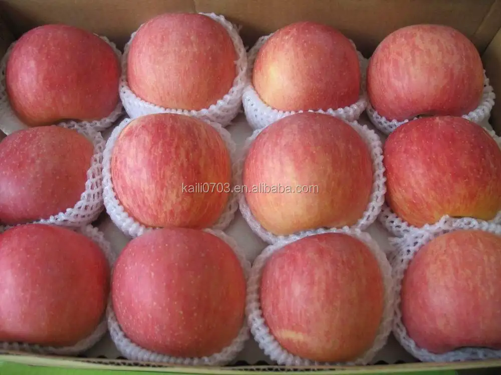 China fuji merah apple Segar apel ID produk 60368488897 