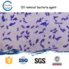 Oil removal bacteria agent for wastewater n1