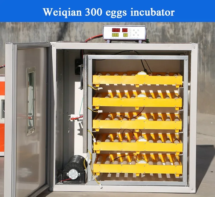 incubator egg tray sabong