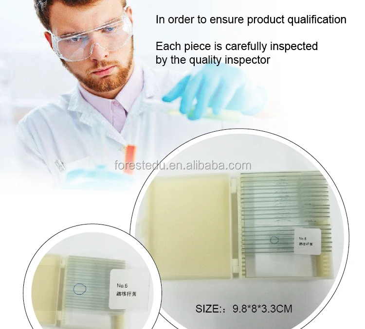 25 Items Of Microscope Bacteria Glass Teaching Microbiology Prepared