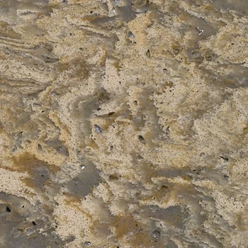 Black Granite Countertop Sparkle White Quartz Seashell Black Granite Countertop Sparkle White Quartz Seashell Countertops