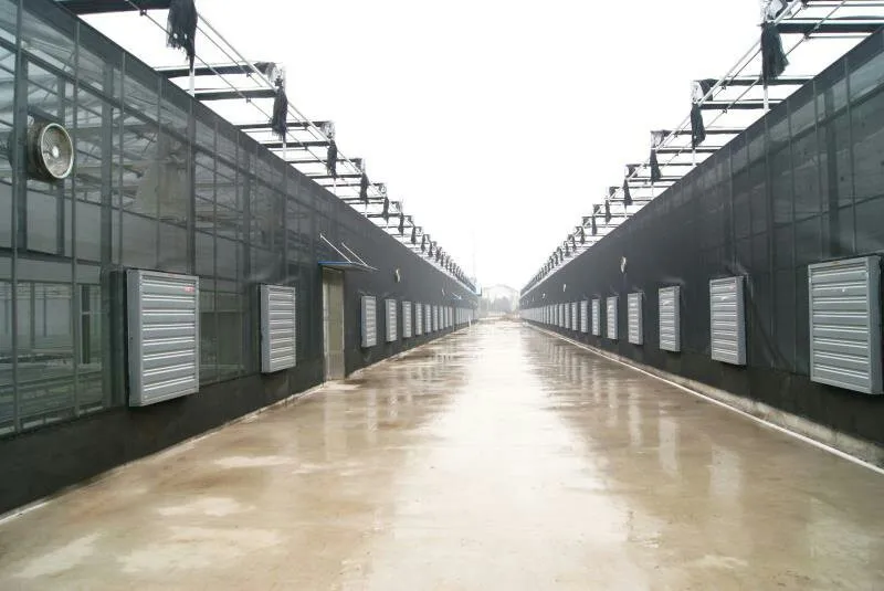mmexport1505782766838_.jpg