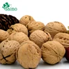 2019 Hot Sales Raw Processing Type Natural Walnuts In Shell Price