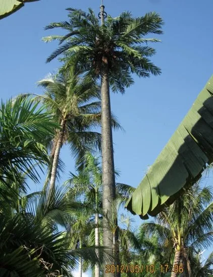 large outdoor plastic tall artificial outdoor coconut palm tree
