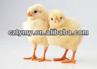 t01649dce587662e115