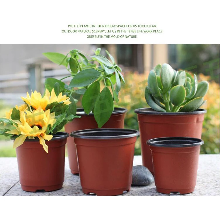 Supply Disposable  Plant Pots  Plastic China Cheap Small 