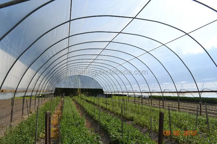 greenhousefilm1_