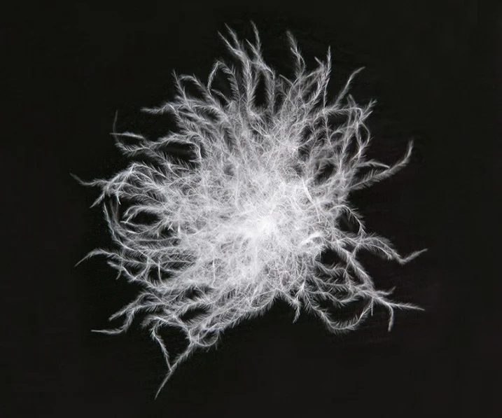 Luxury Soft And Warm Duck Feather Down And Goose Feather Blanket Buy