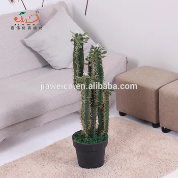 Indoor Plastic Cactus Plants For Desert Decoration Artificial