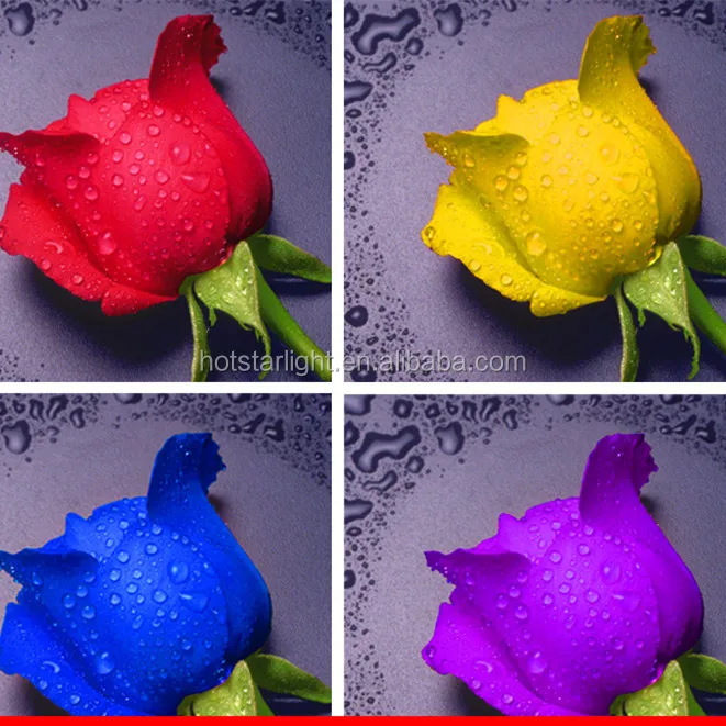 עיצוב פשוט רוז פרח זול 30x30 ס"מ 5D ציור DIY אבן שרף