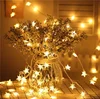 Hot Sale Outdoor led christmas star night string light
