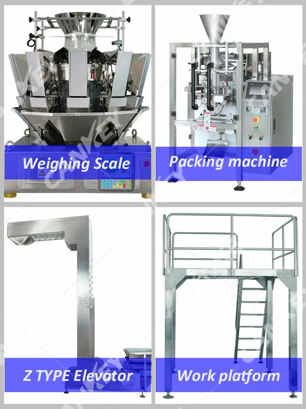 Basic structure of sea food packing machine