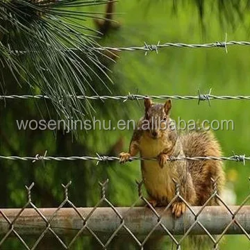 Barbed Wire Fence Cattle Barbed Wire Fence Cattle
