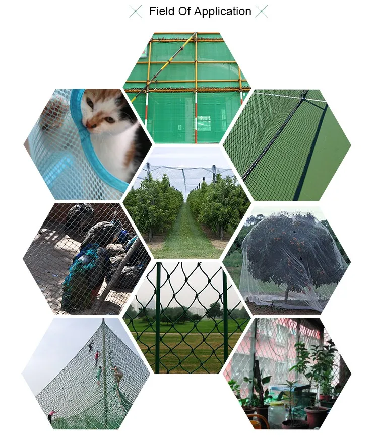Plastic Utility Netting Protecting Crops From Birds Buy Plastic Crop