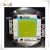 High Power 50W Integrated LED Chip