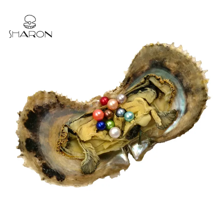 akoya-mini monster1.jpg