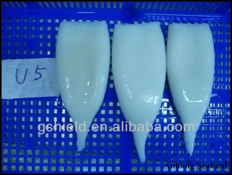 frozen squid tube U5].jpg