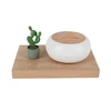 Plastic Led Industrial Scent Diffuser Machine Standard Size Diffusers for Essential Oil Ultrasonic Humidifiers