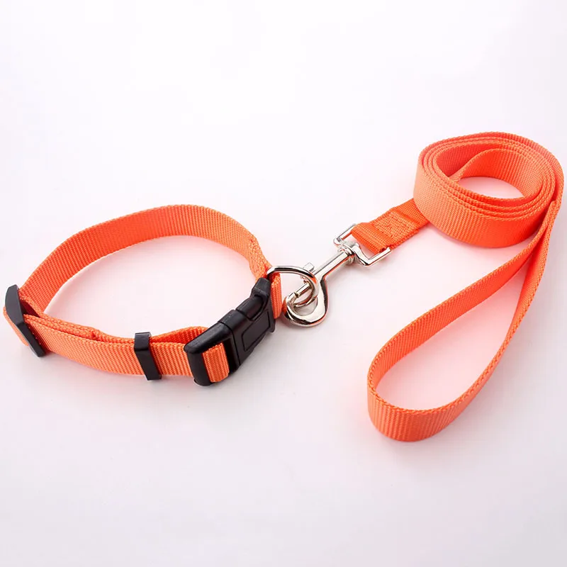 High Quality Plain Nylon Webbing Dog Collars And Leads For Puppy Buy