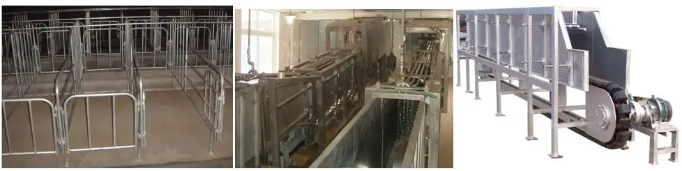 Pig Abattoir turnkey project of pig slaughtering factory slaughtering machine