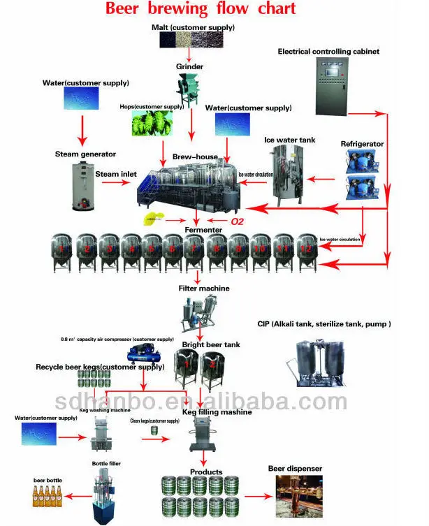 beer brewing process.jpg