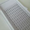 new styles thin base wide-fans private label short stem pre made volume fans