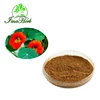 High quality organic french pine bark extract BEST PRICE