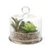 /product-detail/artificial-succulent-plants-arranged-in-glass-jar-arrangement-60834677802.html