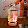 LED acrylic light table water bubble decor round coffee table fish tank