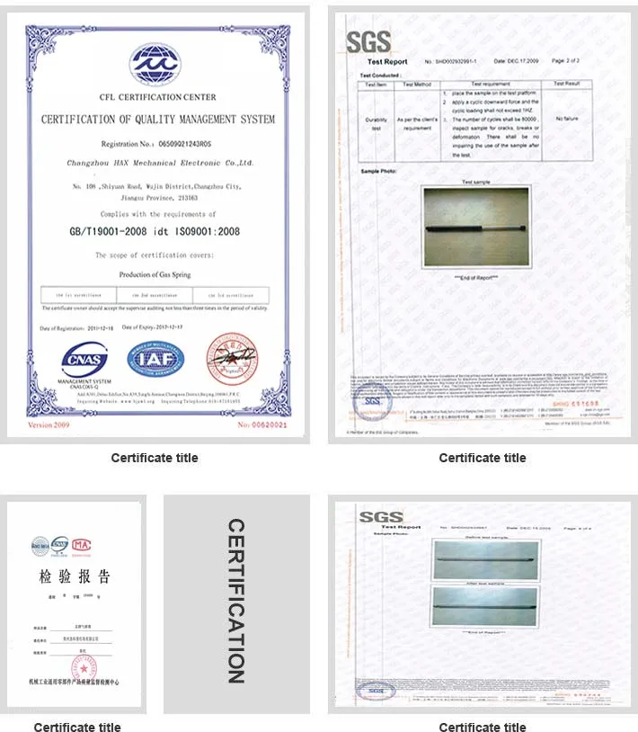 hydraulic lift gas spring