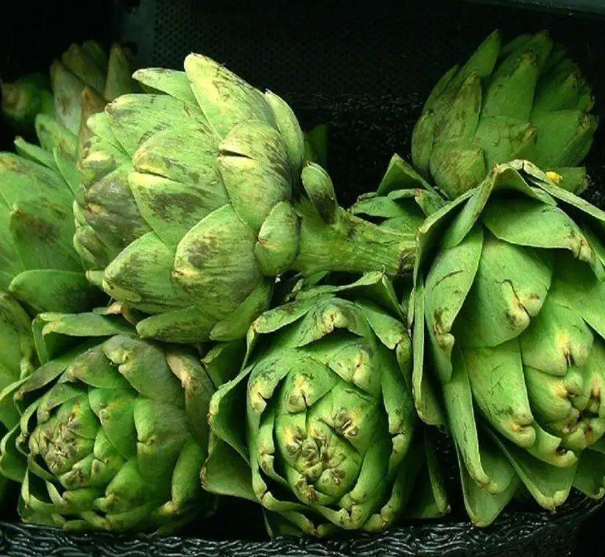 frozen artichoke
