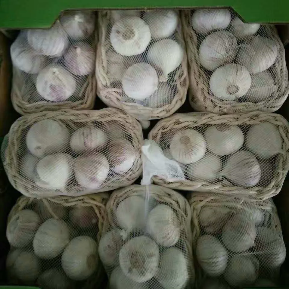 中国大蒜已从网袋和纸箱包装中发货